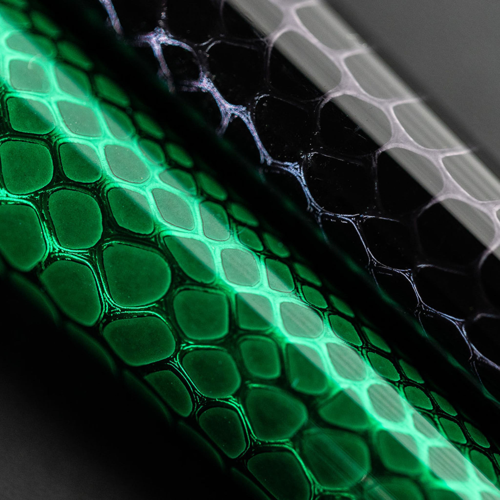 S.T. Dupont Snake Skin Green - Fountain Pen