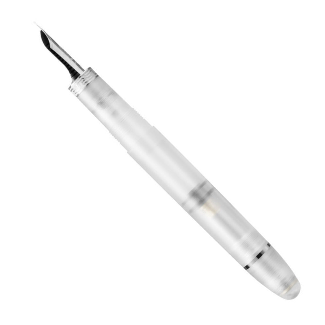 OMAS Ogiva Demonstrator Silver Trim - Fountain Pen