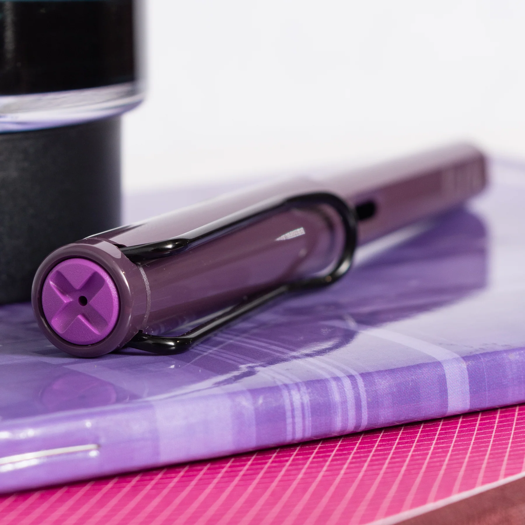 Lamy Safari Kewi SE 2024 Violet Blackberry