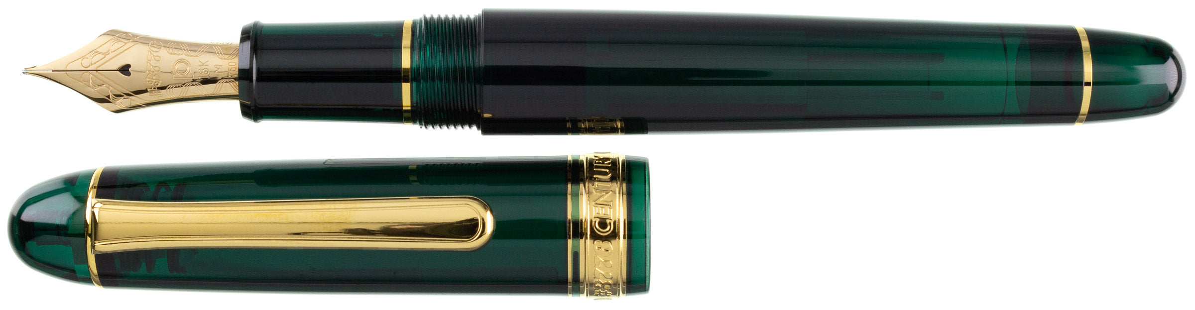 Platinum 3776 Century Laurel Green - nibs.com